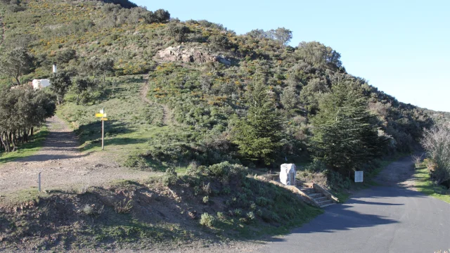 Col De Banyuls Web