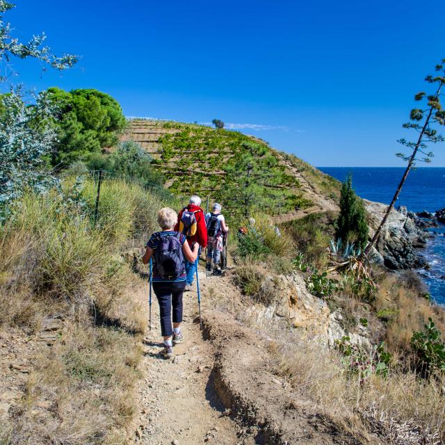 Randonnées sur les sentiers de Banyuls sur mer