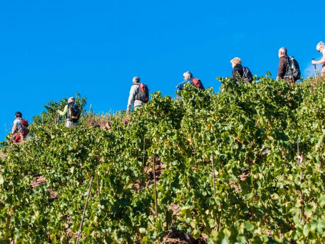 Randonnées sur les sentiers de Banyuls sur mer