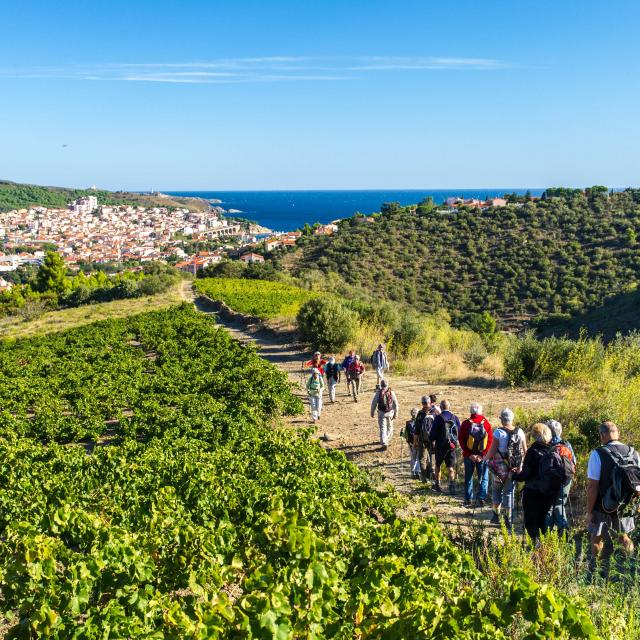 Randonnées sur les sentiers de Banyuls sur mer
