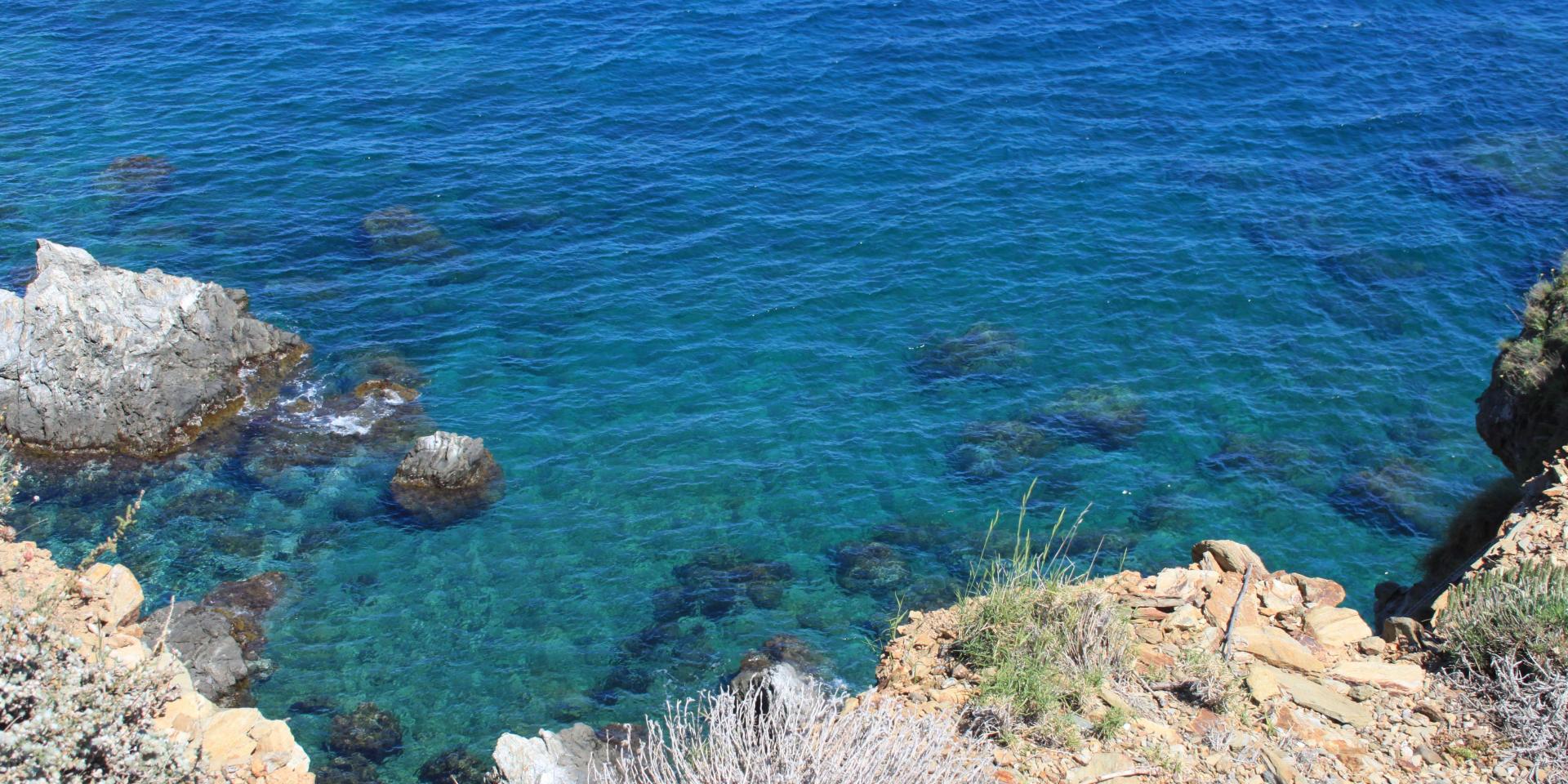 Sentier Littoral Mer Méditerranée (10)