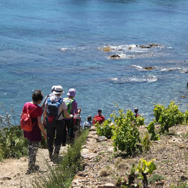Sentier Littoral Mer Méditerranée Randonnée (1)