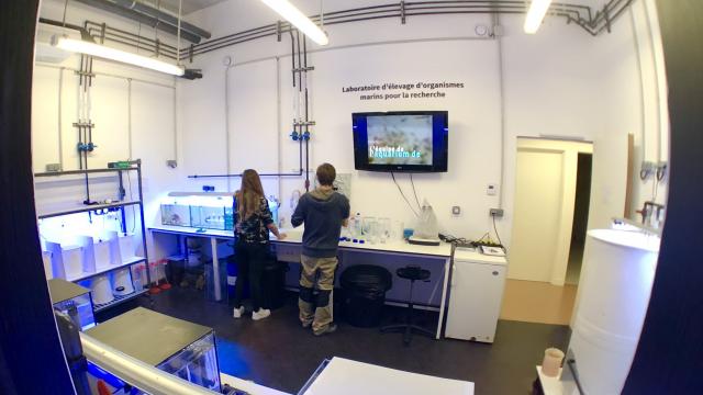 Aquarium Biodiversarium Chercheurs