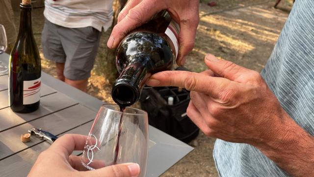 Degustation Apéritif Vigneron