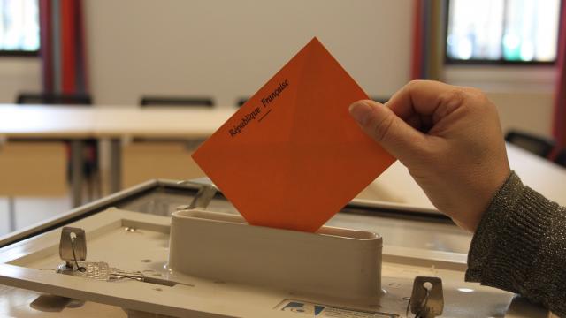 Elections Vote (1)