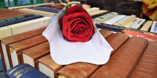 Sant Jordi