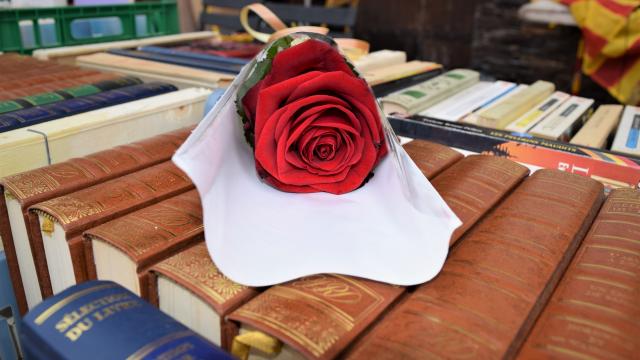 Sant Jordi