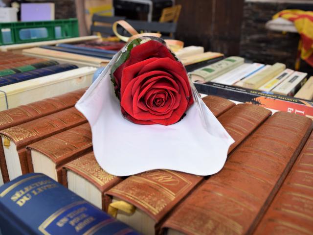 Sant Jordi